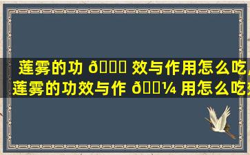 莲雾的功 🍁 效与作用怎么吃,莲雾的功效与作 🐼 用怎么吃效果zui
好